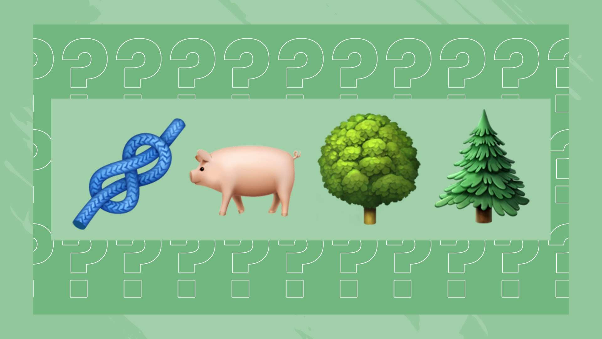 震撼！勒沃库森22战不败，五大联赛独一无二！